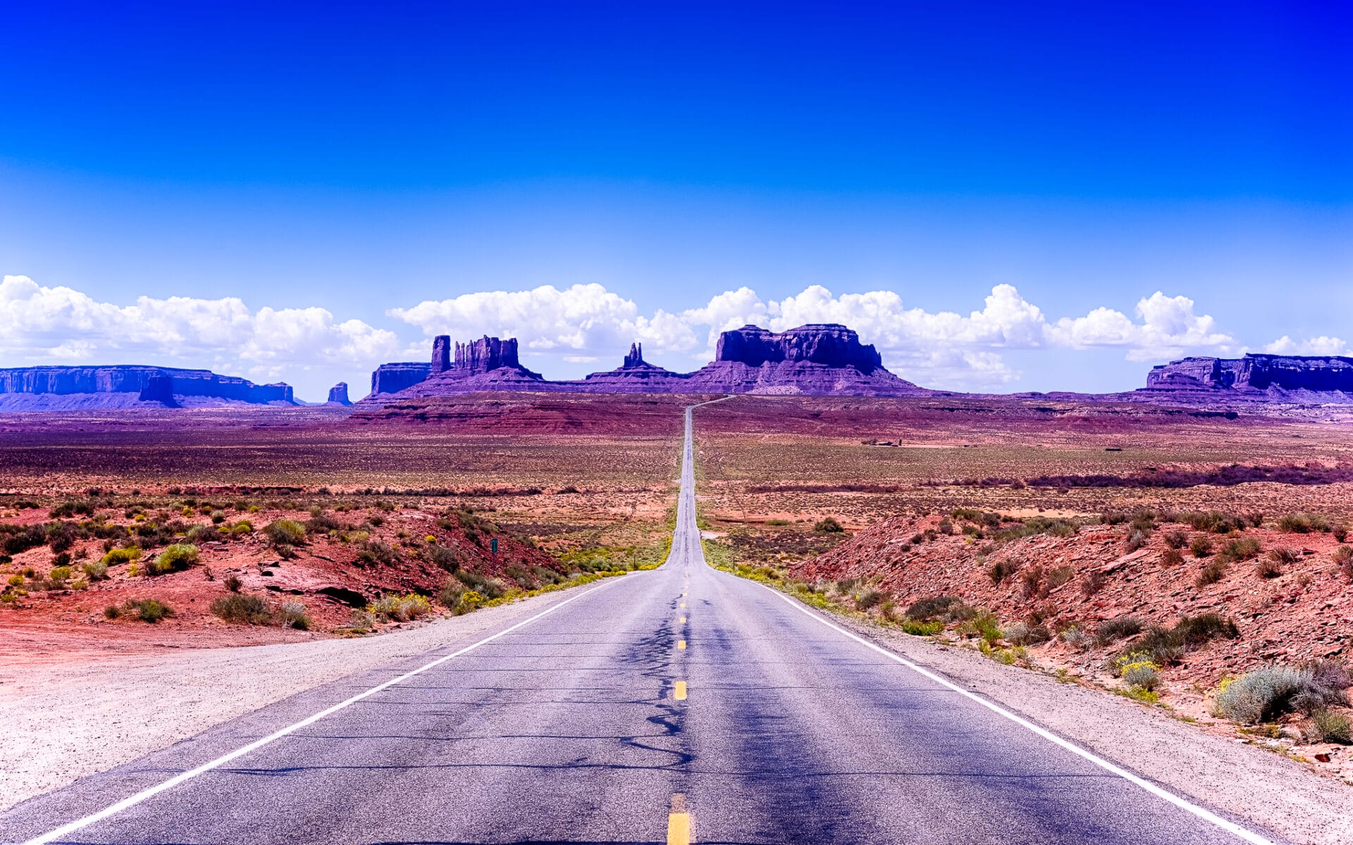 Cover photo for Platinum Tips on Photography