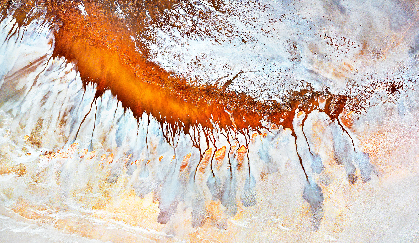 Cover photo for draft - Come Fly With Me