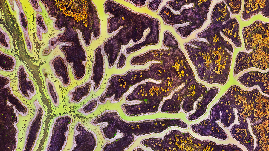 Cover photo for draft - Salt Lakes + Wetlands