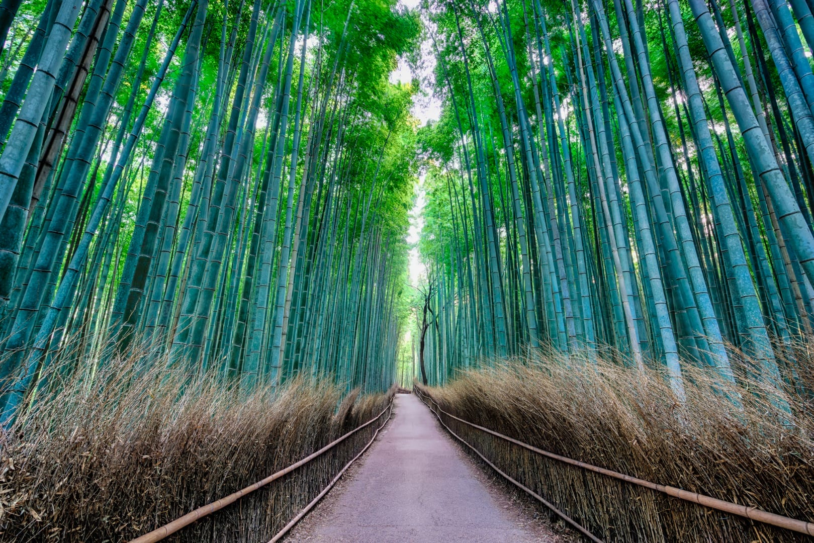 Advance Your Skills Through Immersive<br>
Photography Classes