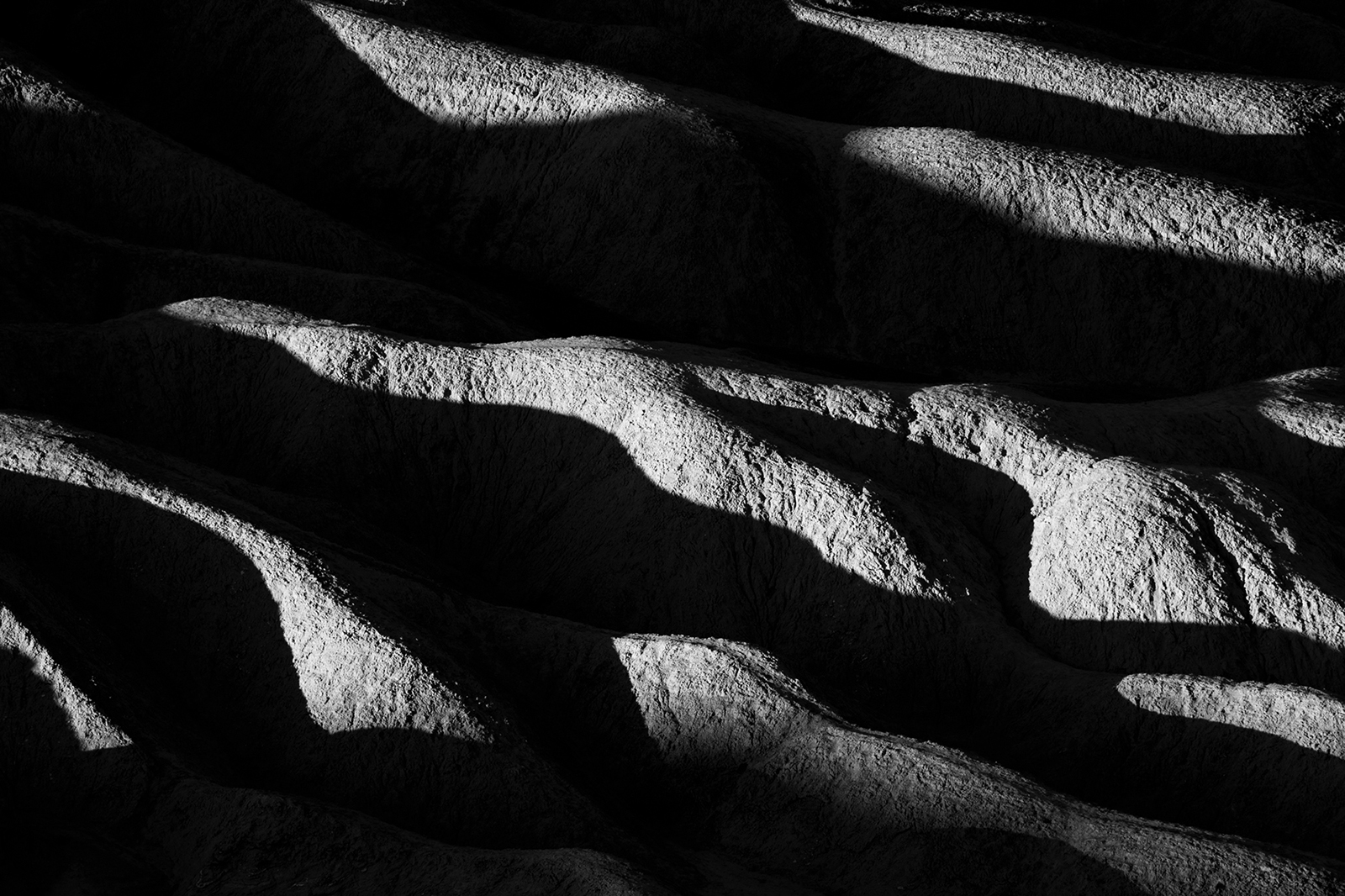 Cover photo for A Black & White Photo Workshop: Behind the Lens