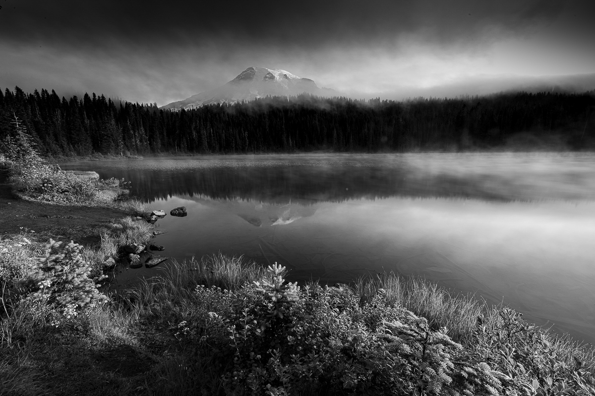 Cover photo for Mount Rainier Photo Workshop: Wildflowers & Alpine Landscapes